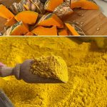 Organic Certification and Marketing