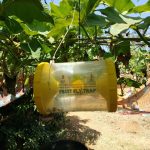 Introduction to Non Pesticidal Management