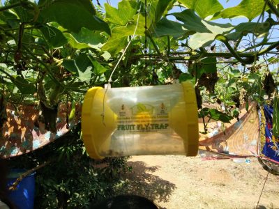 Introduction to Non Pesticidal Management