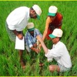 Advanced Course on Non Pesticidal Management