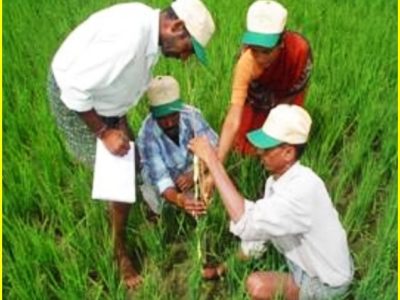 Advanced Course on Non Pesticidal Management