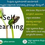 విత్తన ఉత్త్పత్తి – మార్కెటింగ్