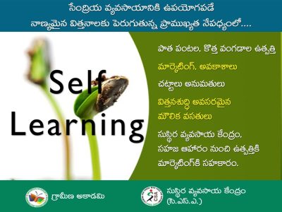 విత్తన ఉత్త్పత్తి – మార్కెటింగ్