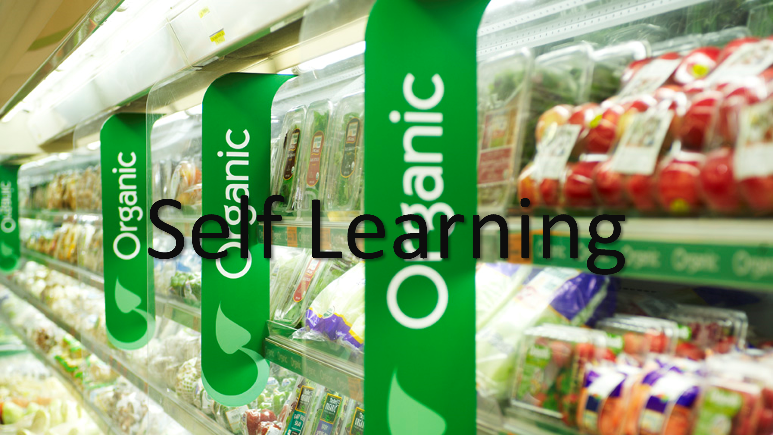 organic-food-business